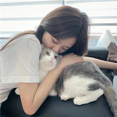 冰狗任务
